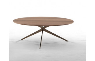 Tree | Coffee Table | Tonin Casa
