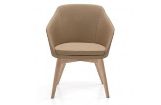 Amabile | Arm chair | Linea IC