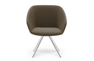 Fine | Arm chair | Linea IC