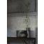 Angelo e Angela | Vase | Glas Italia