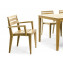 Ribot | Dining armchair | Ethimo