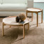 Gong | Coffee table | Pacini & Cappellini