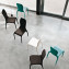 Lisetta | Chair | Tonin Casa